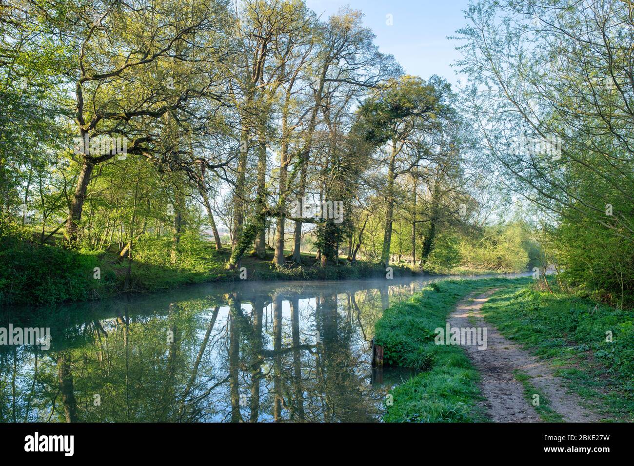 Riflessi degli alberi lungo il canale di Oxford in una mattina primaverile. Lower Heyford, Oxfordshire, Inghilterra Foto Stock