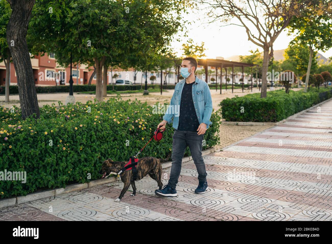 Giovane uomo in maschera medica che cammina nel parco con il suo cane. Covid-19 coronavirus pandemico. Vita attiva in quarantena nell'epidemia di Corona. Foto Stock