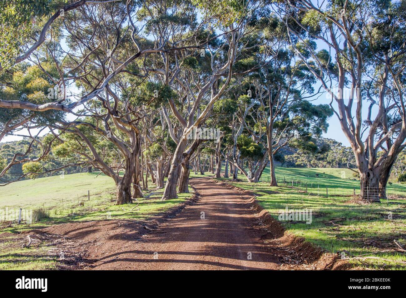 Countr Road su Kangaroo Island South Australia Foto Stock