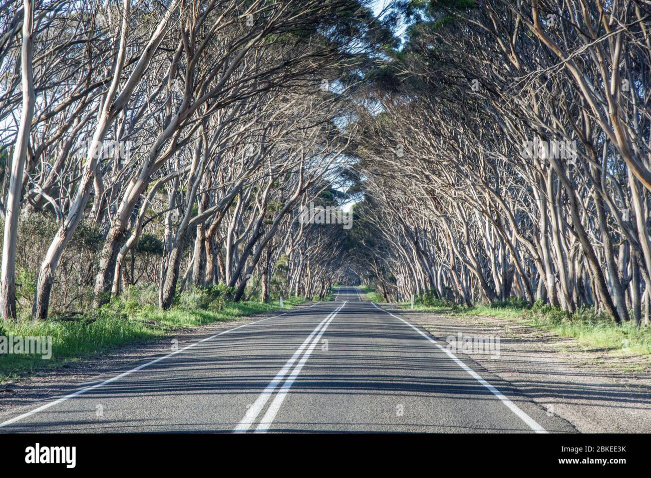 Countr Road su Kangaroo Island South Australia Foto Stock
