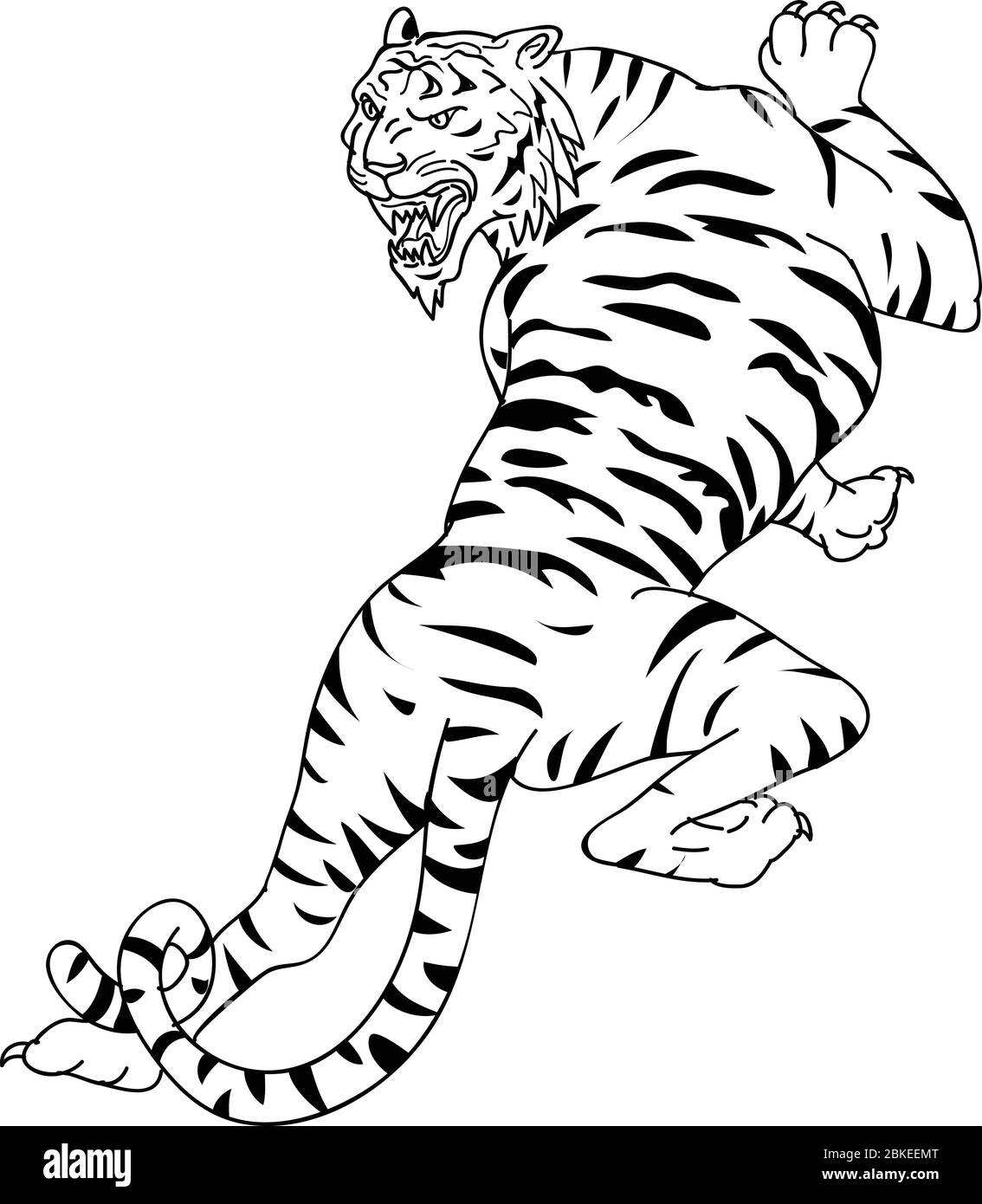 Disegno di disegno di uno stile di disegno di una tigre del Bengala che sale, stalking e guardando giù su sfondo bianco isolato fatto in bianco e nero. Illustrazione Vettoriale