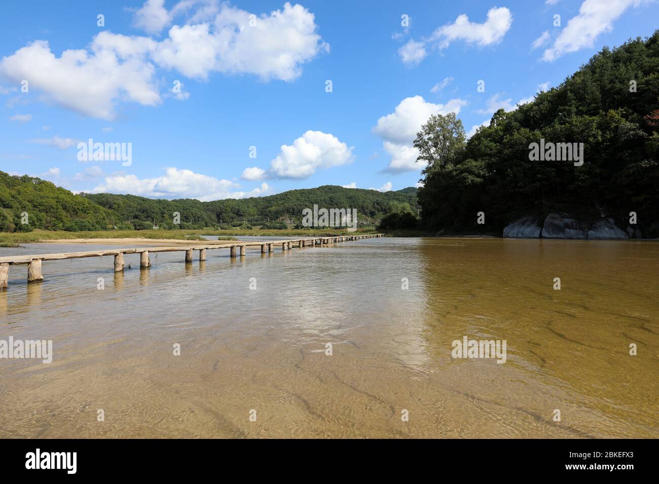 Ponte in legno sul fiume. Youngju, Corea del Sud. Foto Stock