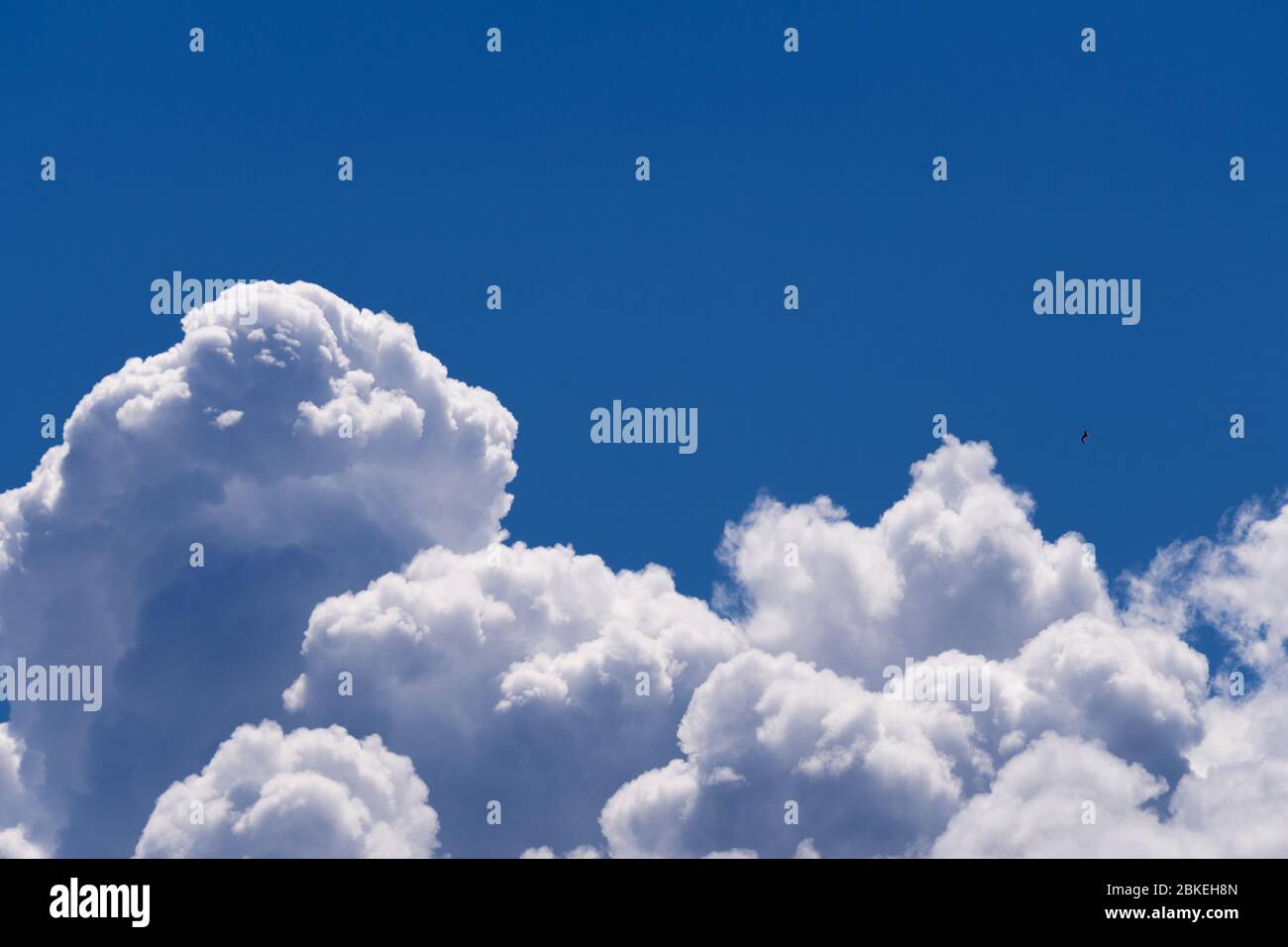 Cumulus nuvole sul cielo blu e chiaro. Foto Stock
