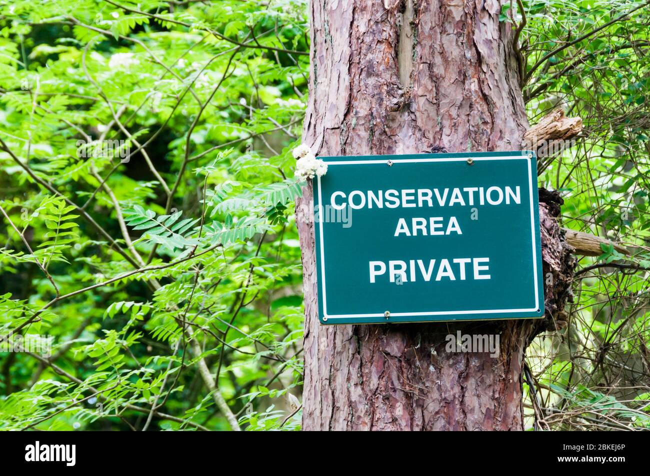 Area di conservazione, privato, cartello fissato ad un albero in un'area boschiva per proteggere un'area riservata alla conservazione della fauna selvatica. Foto Stock