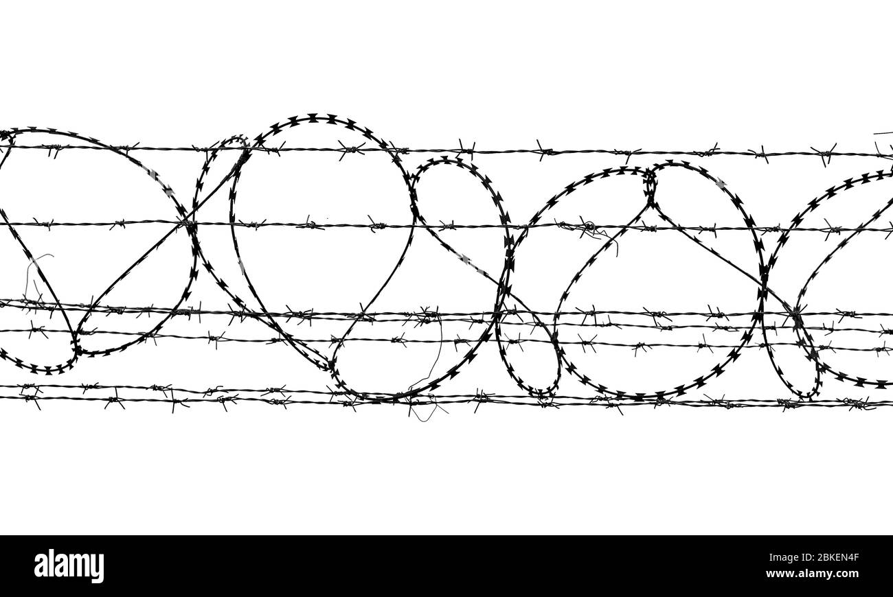 Filo spinato bianco e nero isolato su sfondo bianco Foto Stock