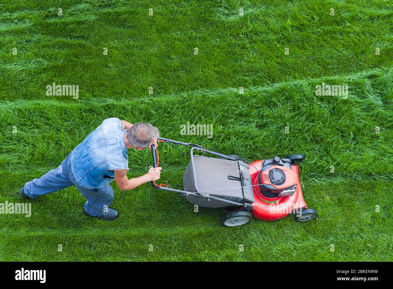 rasaerba è taglio erba verde taglio, il giardiniere con un rasaerba è in funzione nel cortile, vista dall'alto Foto Stock