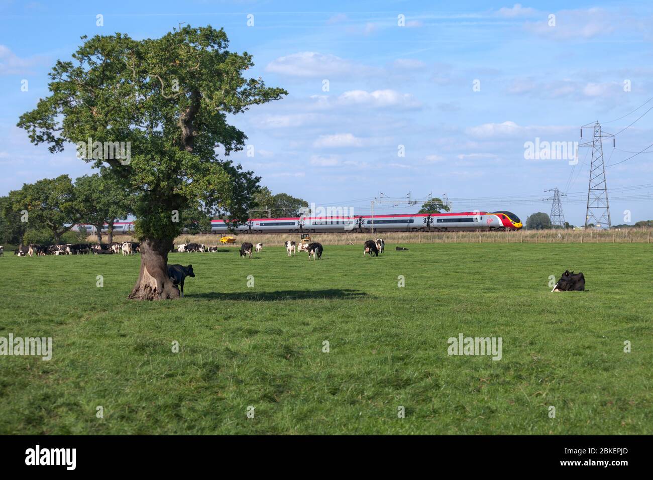 Virgin Trains Alstom pendolino treno che passa attraverso la campagna di Cheshire vicino a Winsford sulla linea principale della costa occidentale Foto Stock