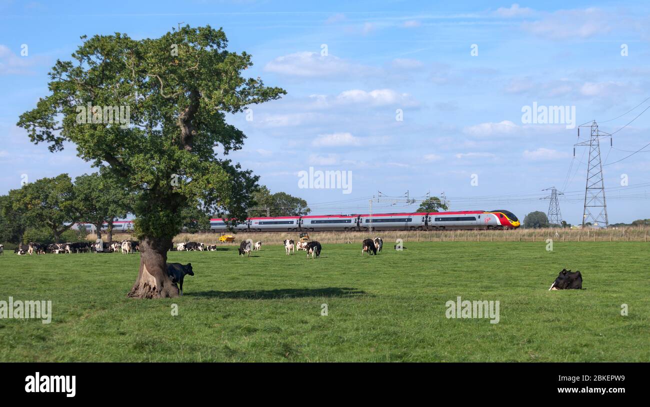Virgin Trains Alstom pendolino treno che passa attraverso la campagna di Cheshire vicino a Winsford sulla linea principale della costa occidentale Foto Stock