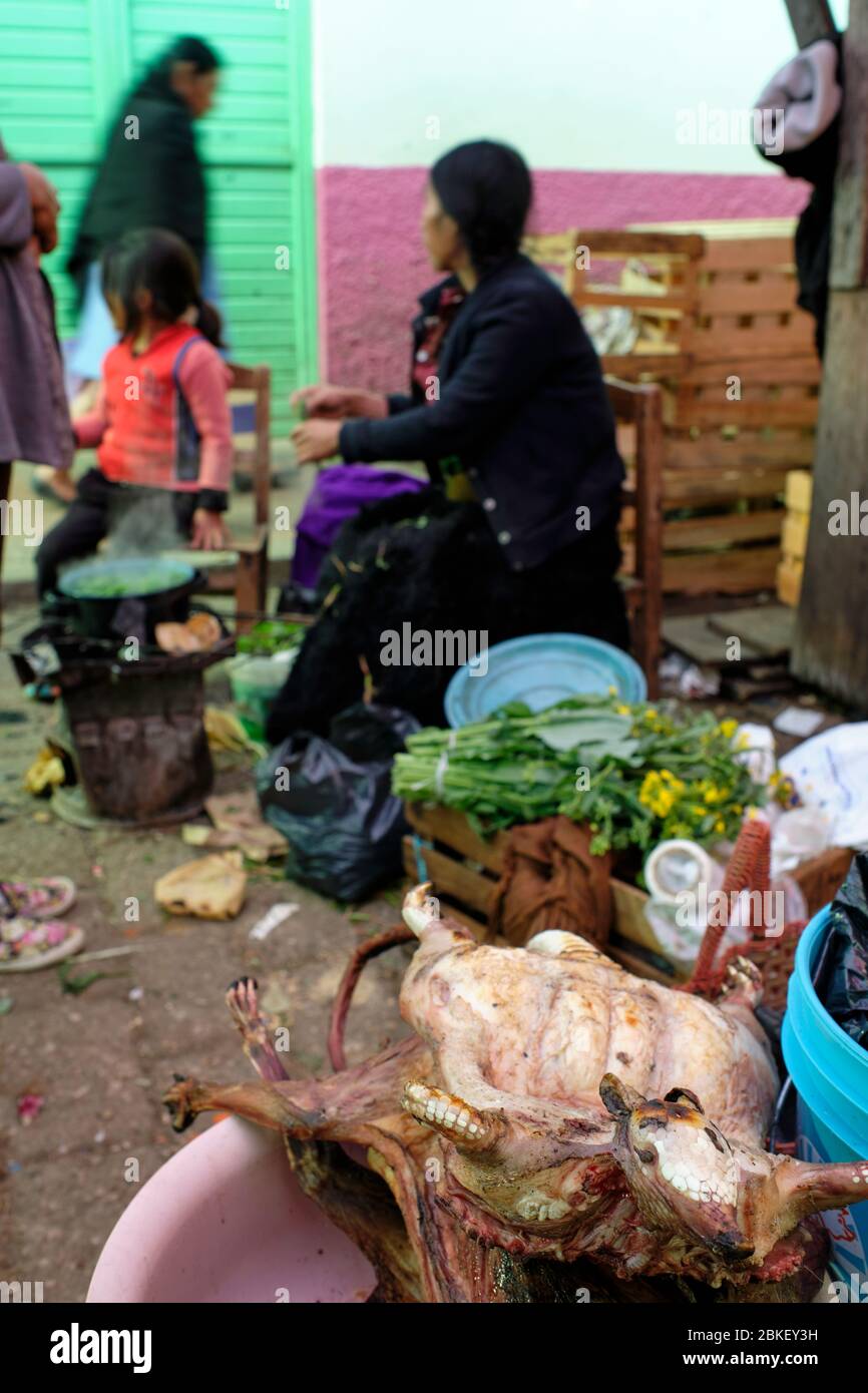Vendita di armadillos per il consumo umano in una stalla di San Cristobal de las Casas. Foto Stock