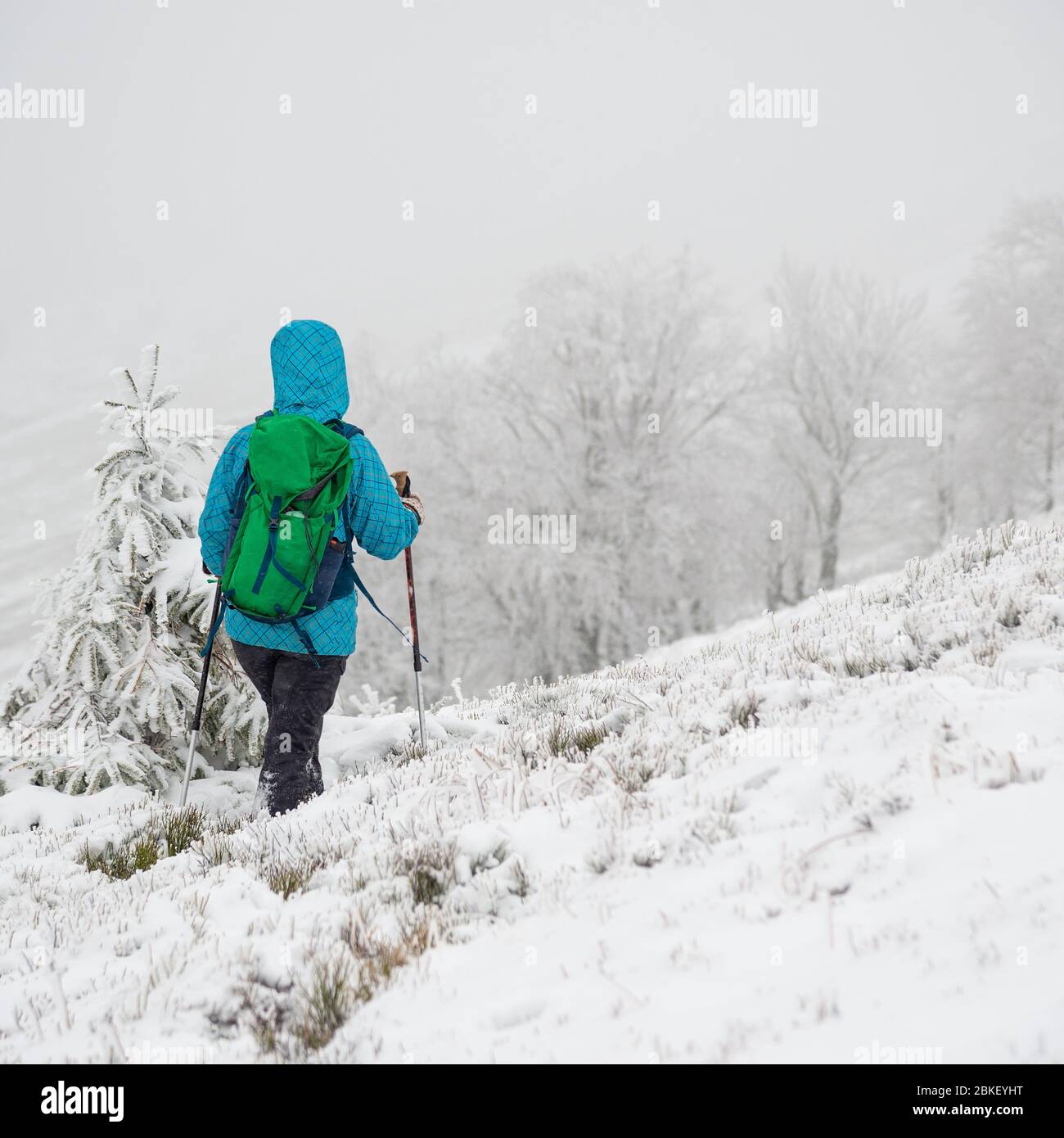Giovane donna escursioni in montagna neve Foto Stock