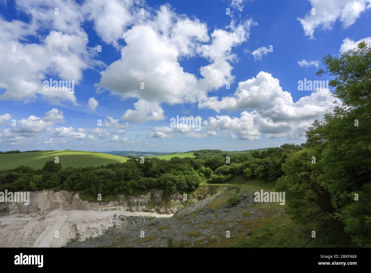 colline ondulate dei bassi a sud con nuvole puffy in una giornata d'estate Foto Stock