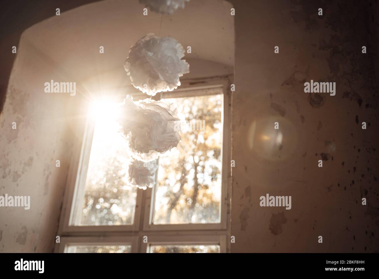 foto di carta fiore appeso davanti a una finestra Foto Stock