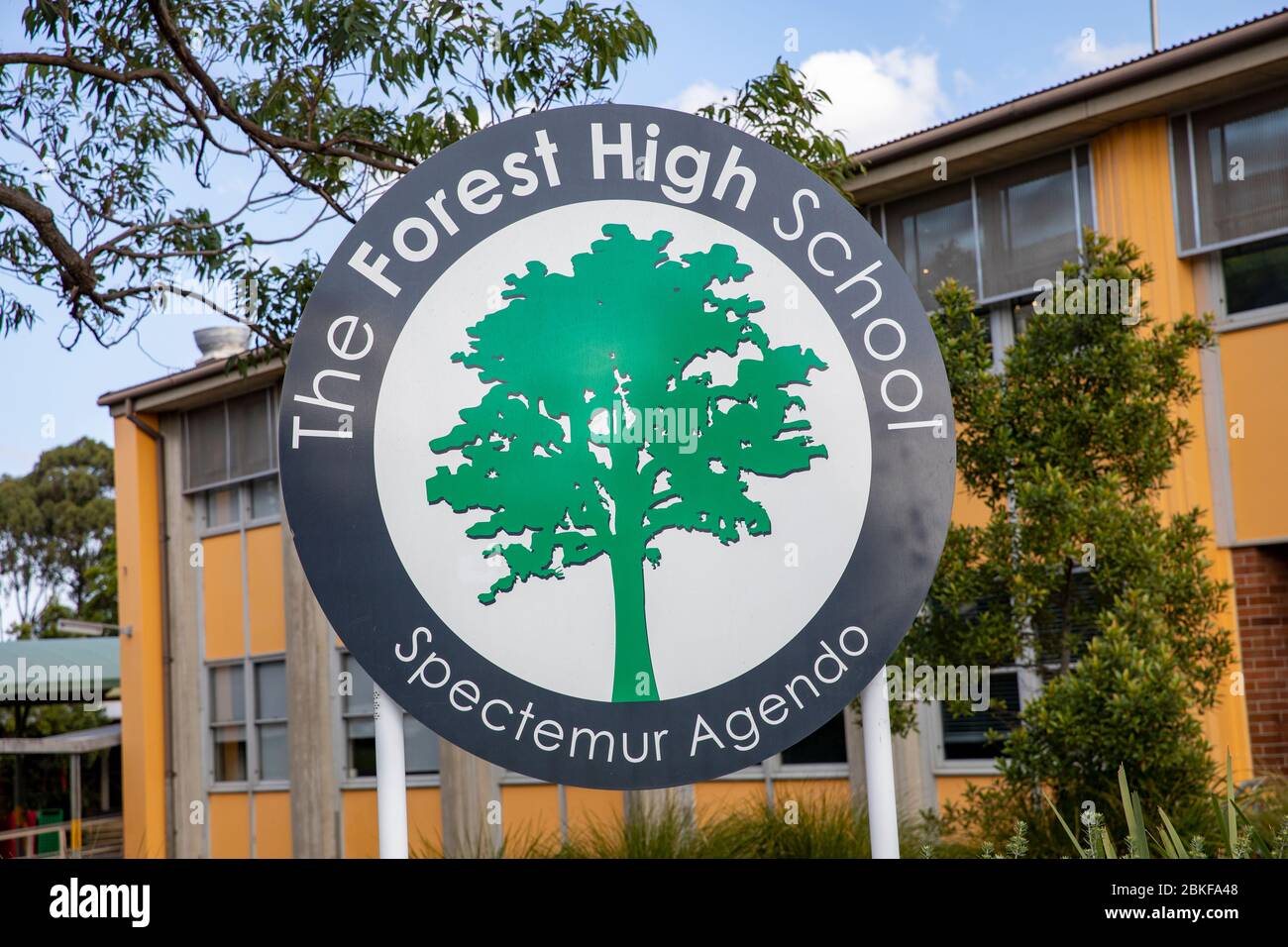 Australia, la Forest High School è una scuola secondaria di istruzione pubblica a Frenchs Forest, Sydney, NSW Australia Foto Stock
