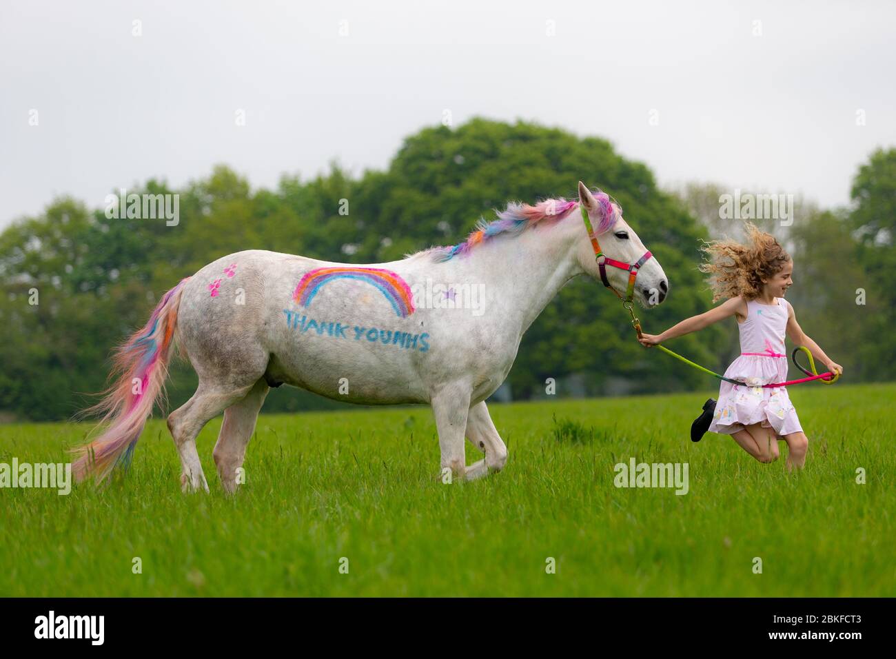 Bridgnorth, Shropshire, Regno Unito. 4 maggio 2020. Amber Price, di Bridgnorth, di 8 anni, con il suo New Forest Pony, Bear. L'orso è stato dipinto con un "grazie" all'NHS utilizzando una speciale vernice a pony. Credit: Peter Lopeman/Alamy Live News Foto Stock