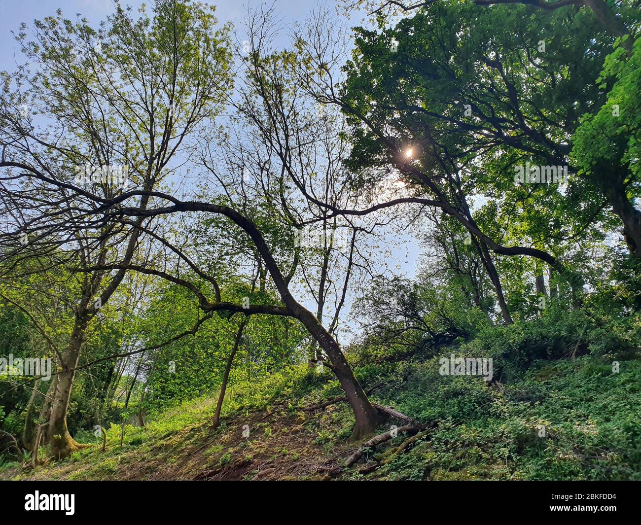 Lungo il fiume Foto Stock