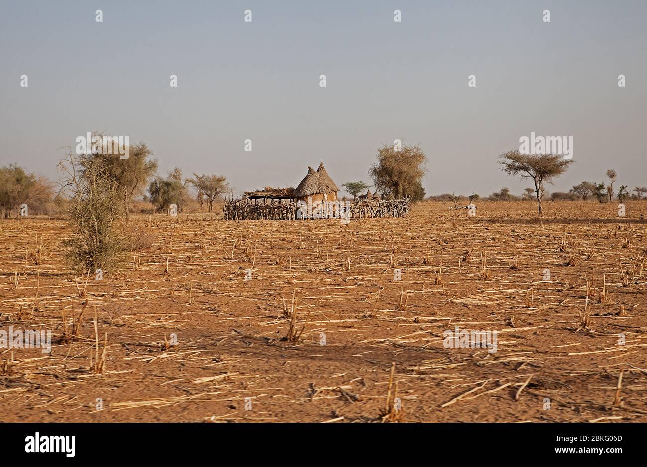 Burkina Faso, Sahel, Africa occidentale Foto Stock