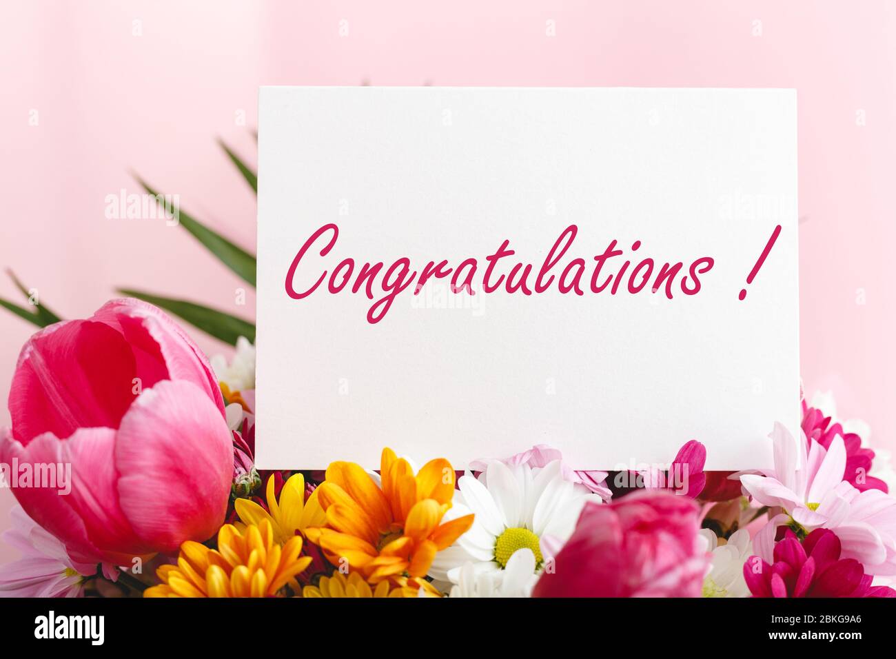 Testo di congratulazioni sulla carta regalo in bouquet di fiori su sfondo rosa. Scheda bianca vuota con spazio per testo, mockup cornice. Fiore festivo di primavera Foto Stock