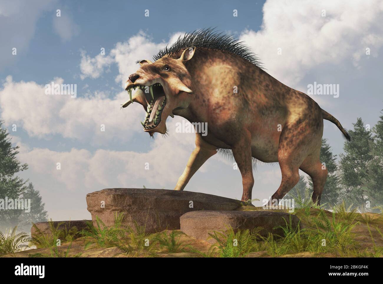 L'Entelodon, o maiale dell'inferno, è un maiale preistorico estinto o un mammifero simile a cinghiale che visse durante l'Eocene e il Miocene, raffigurato in un paesaggio. Re 3D Foto Stock