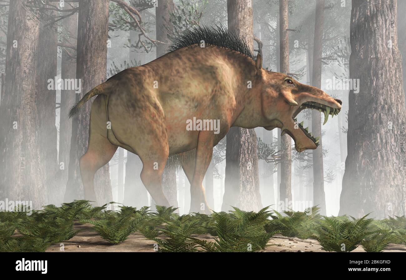 L'Entelodon, o maiale dell'inferno, è un maiale preistorico estinto o un mammifero simile a cinghiale che visse durante l'Eocene e il Miocene, raffigurato in una foresta. 3D Rend (Rend 3D) Foto Stock