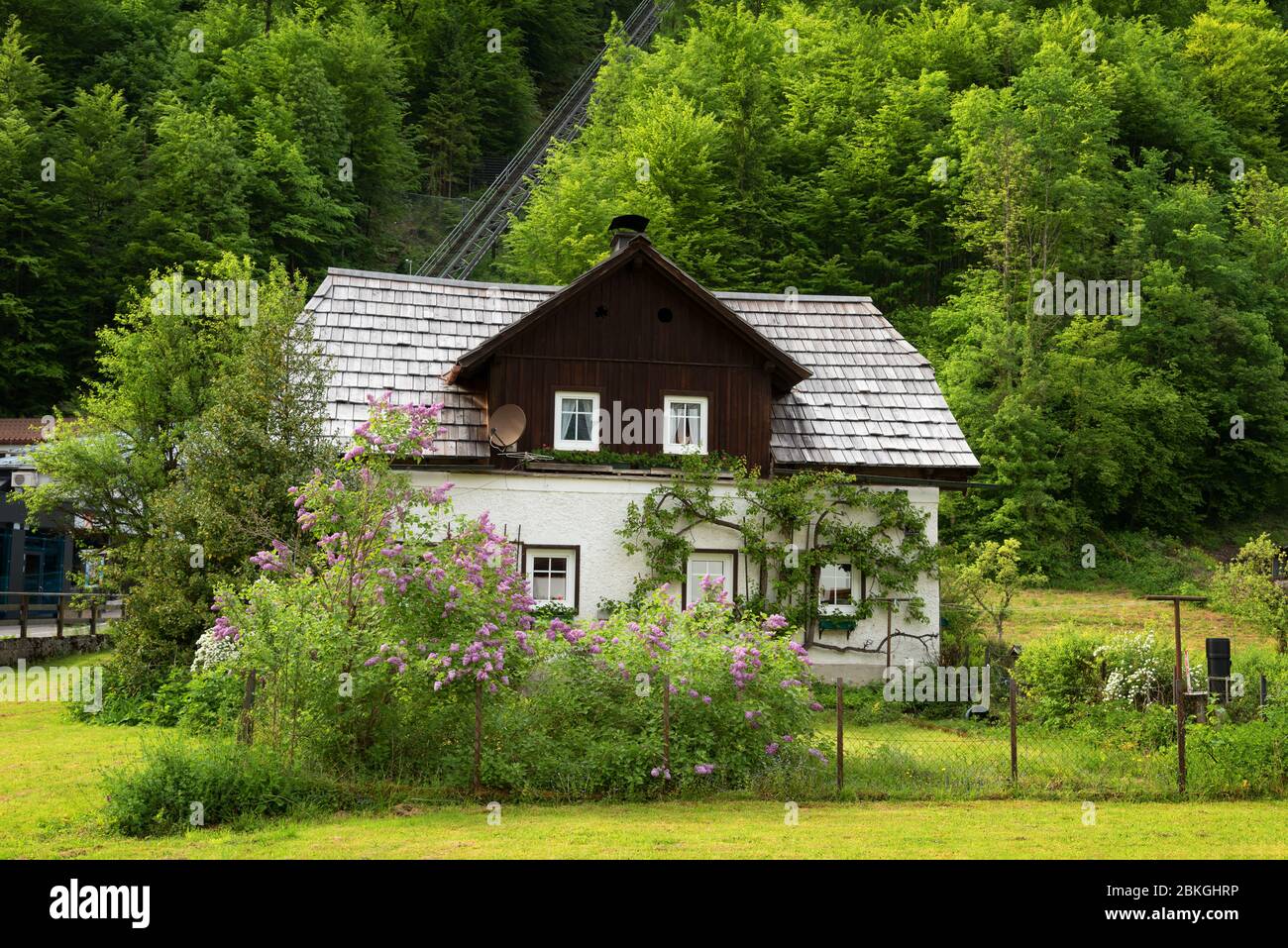 Tipica casa alpina austriaca con fiori luminosi, Hallstatt, Austria, Europa Foto Stock