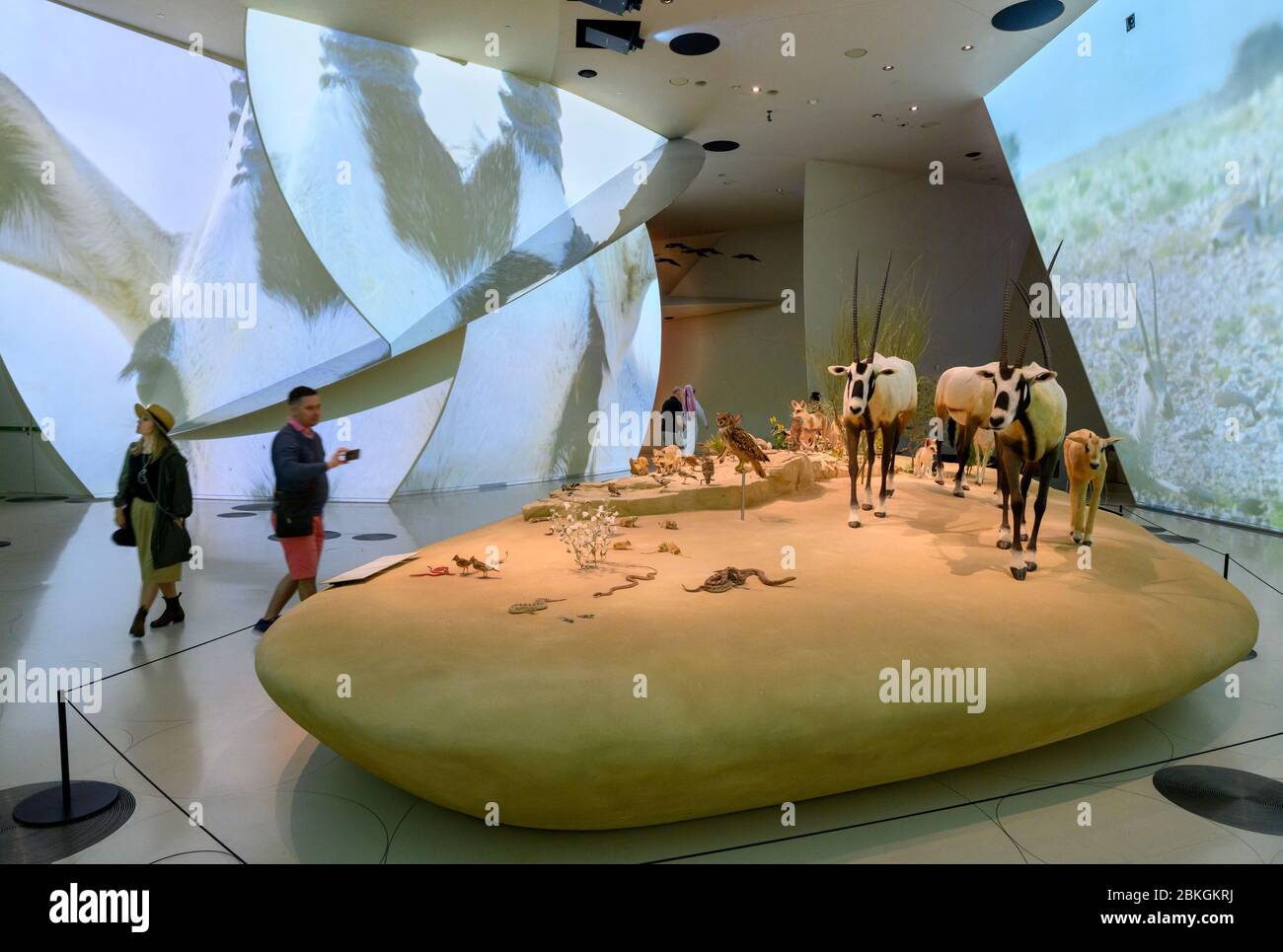 Interno del Museo Nazionale del Qatar, Doha, Qatar, Medio Oriente Foto Stock