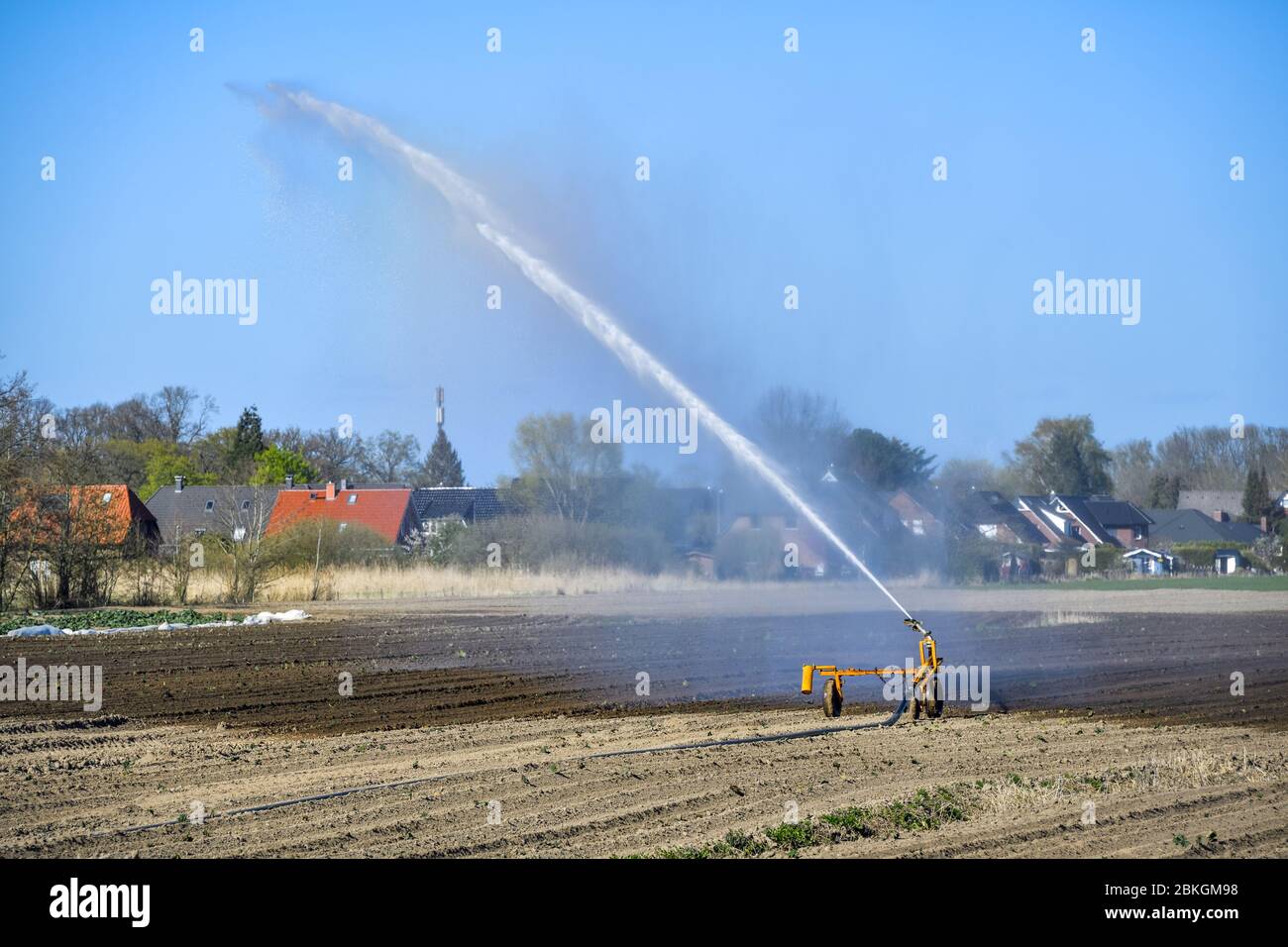 Irrigazione di campo a Kirchwerder, Amburgo, Germania, Europa / Feldbewässerung a Kirchwerder, Amburgo, Deutschland, Europa Foto Stock