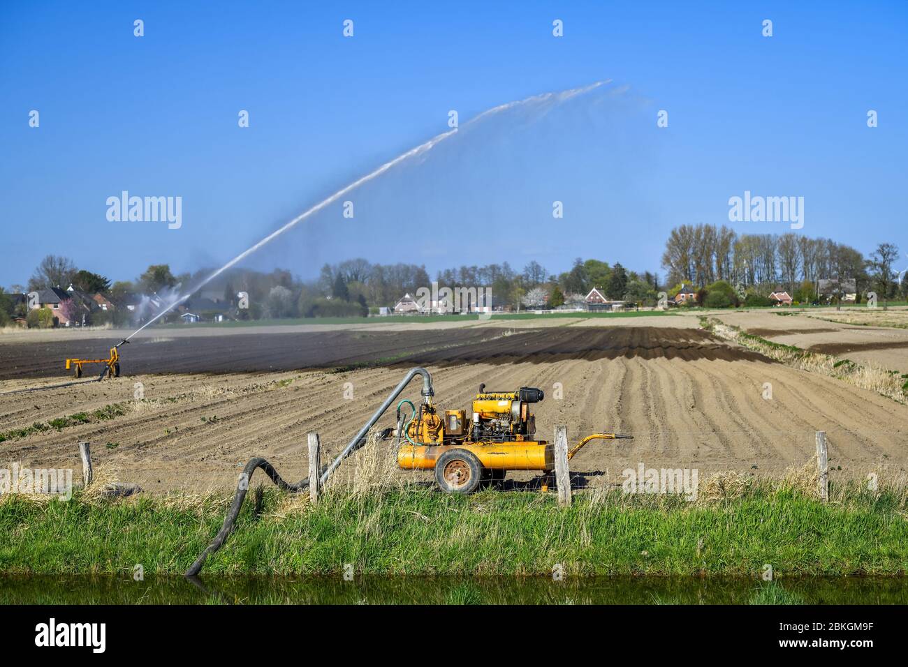 Irrigazione di campo a Kirchwerder, Amburgo, Germania, Europa / Feldbewässerung a Kirchwerder, Amburgo, Deutschland, Europa Foto Stock