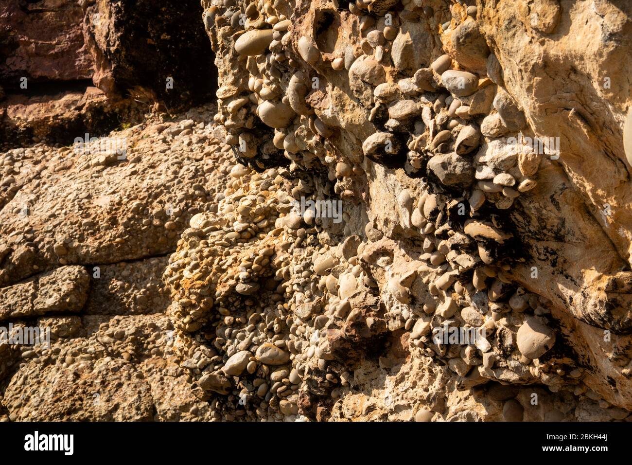 Sud Africa, Capo Occidentale, Baia di Plettenberg, Riserva Naturale di Robberg, roccia conglomerata di pietra fluviale di ciottoli arrotondati in arenaria Foto Stock