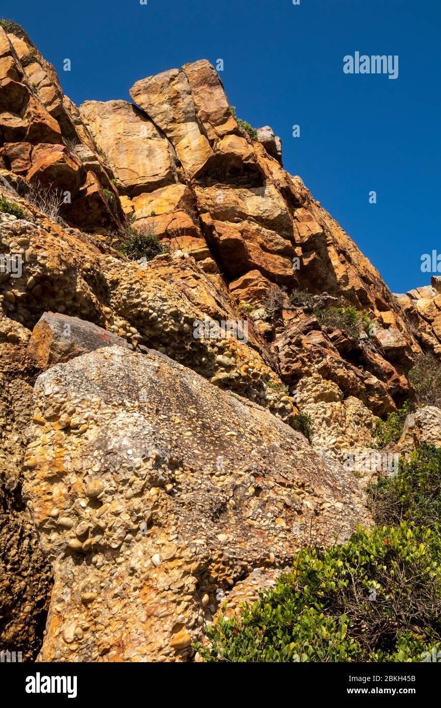 Sud Africa, Capo Occidentale, Baia di Plettenberg, Riserva Naturale di Robberg, roccia conglomerata di pietra fluviale di ciottoli arrotondati in arenaria Foto Stock