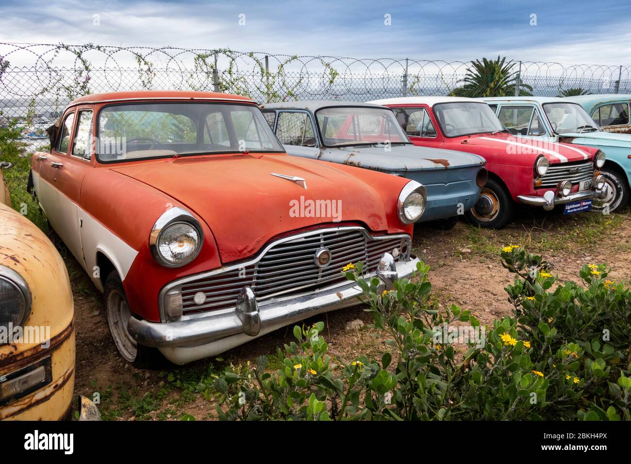 Sud Africa, Capo Occidentale, Mossel Bay, Bland Street, Blue Shed Coffee Romaestry, 1950 Ford Zephyr Mk 2 auto in decomposizione in cantiere Foto Stock