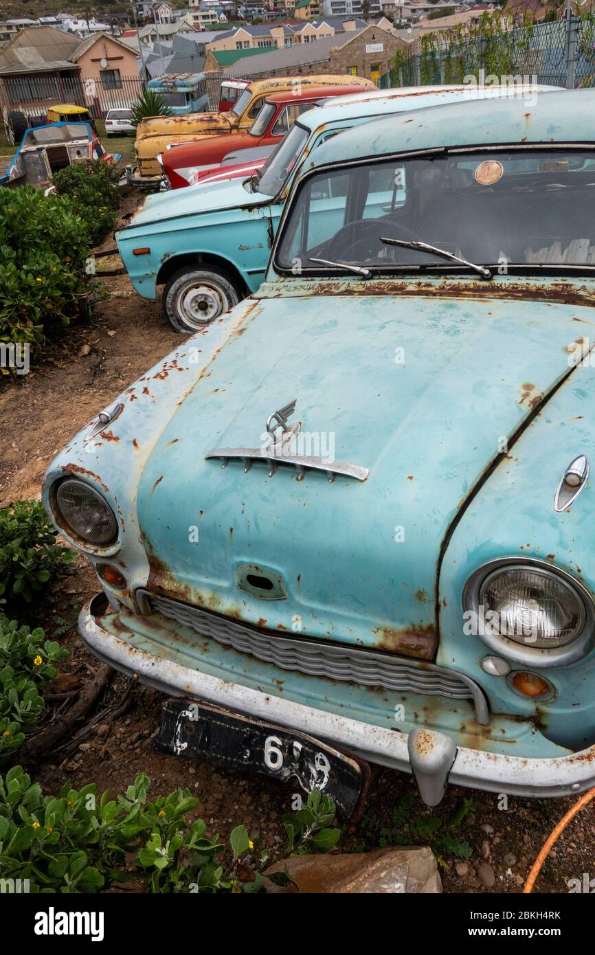 Sud Africa, Western Cape, Mossel Bay, Bland Street, Blue Shed Coffee Roestry, 1950 Austin Cambridge A40 auto in decomposizione in cantiere Foto Stock
