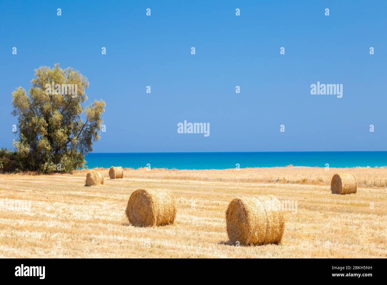 Balle di fieno vicino alla costa a Argaka, Cipro Foto Stock