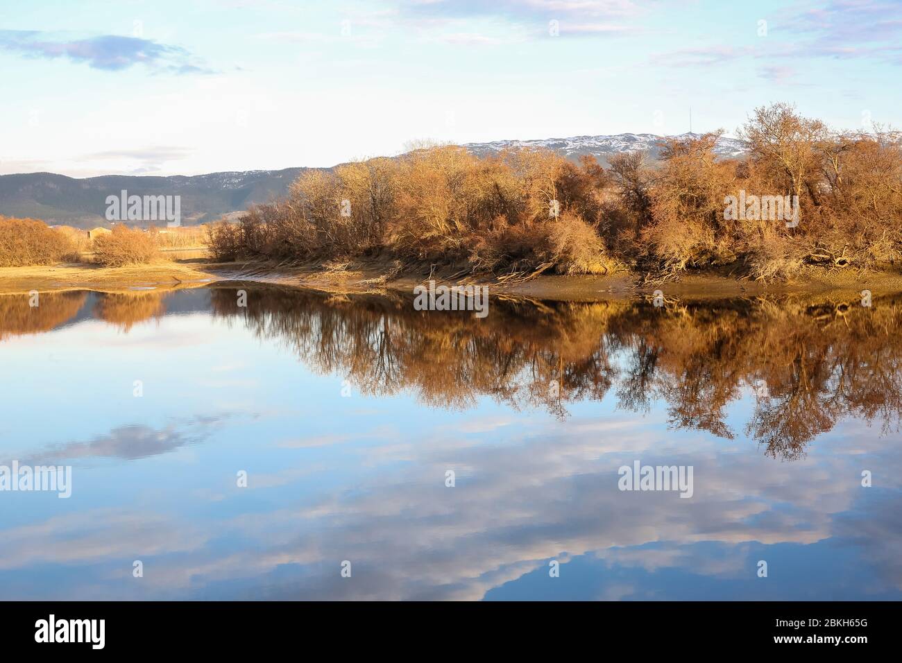 Alluvione di primavera al fiume Gaula, riserva naturale di Gaulosen, Trondheim Foto Stock