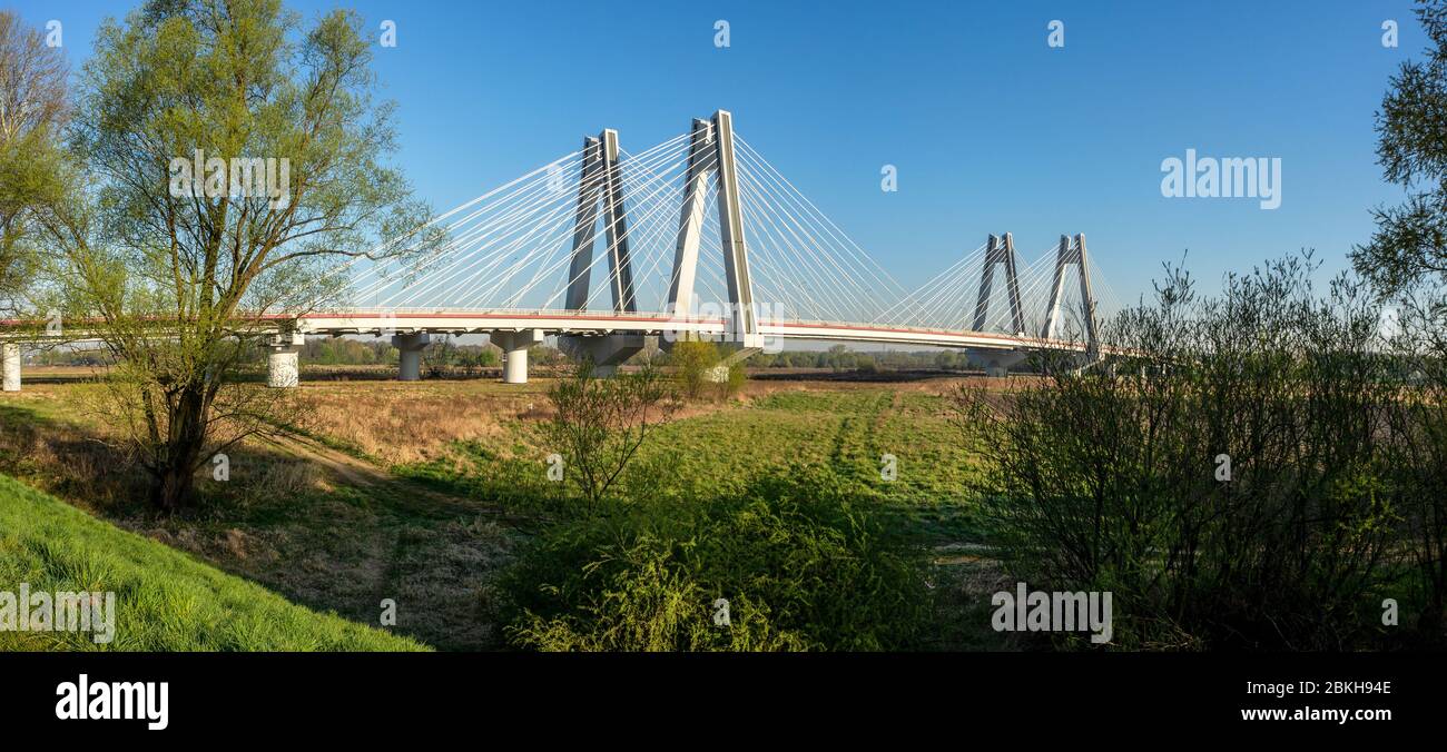 Moderno ponte doppio con stallino sul fiume Vistola a Cracovia, Polonia. Ampio panorama in luce del sole con alberi Foto Stock