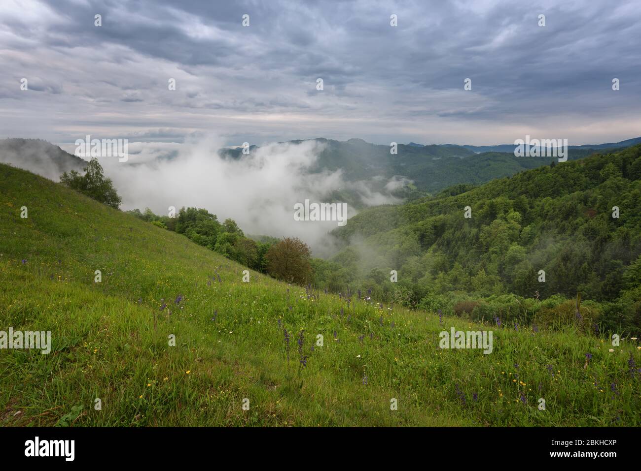 Paesaggio alpino rurale con villaggio sloveno in valle vicino al lago di Bled in primavera giorno di sole. Slovenia. Foto Stock