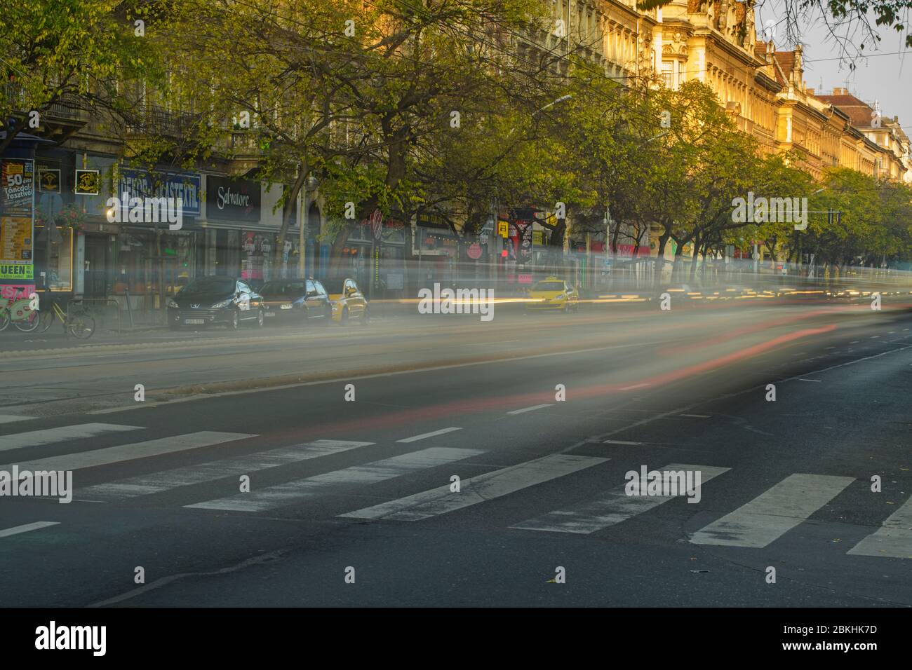 Centro di Budapest (Pest) - viale alberato, Budapest, Ungheria centrale, Ungheria Foto Stock