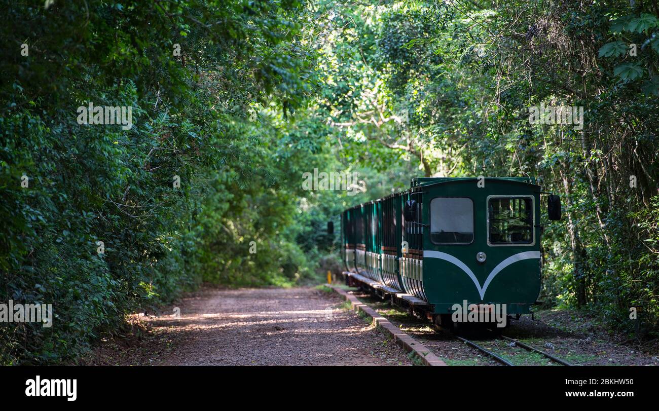 Treno passeggeri al Parco Nazionale di Iguacu in Argentina Foto Stock