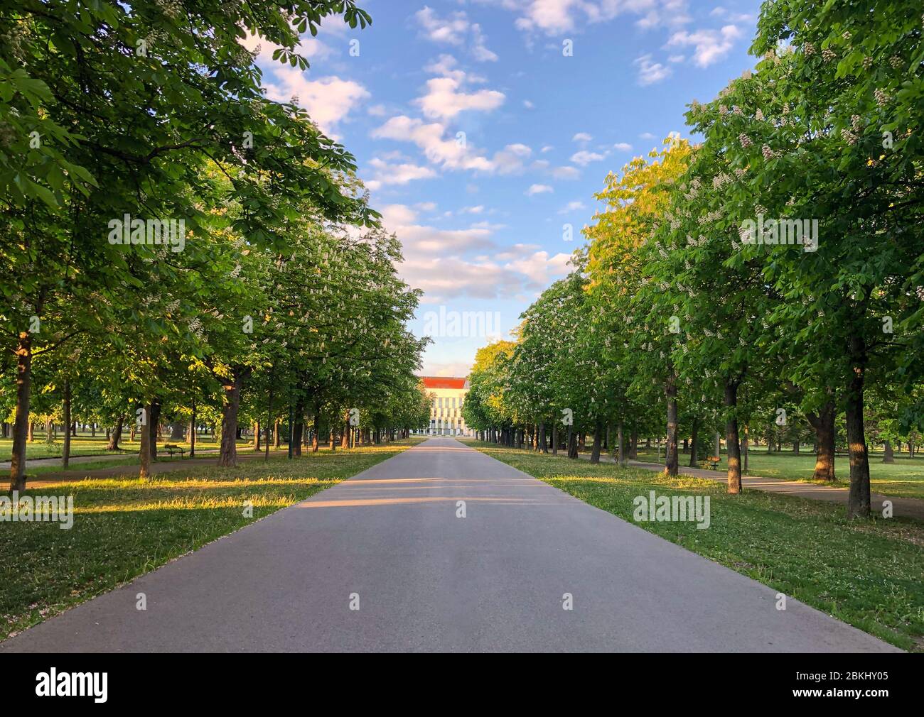 Una strada vuota di fronte ad un parco verde a Vienna. Foto Stock