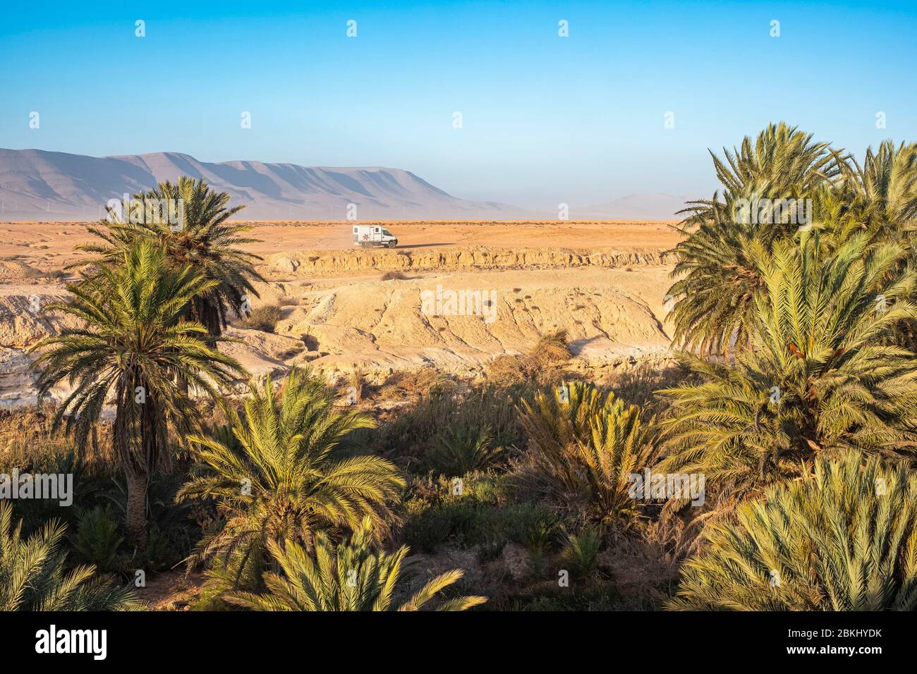 Marocco, Guelmim-Oued Noun regione, Asrir villaggio rurale, oasi Tighmert Foto Stock