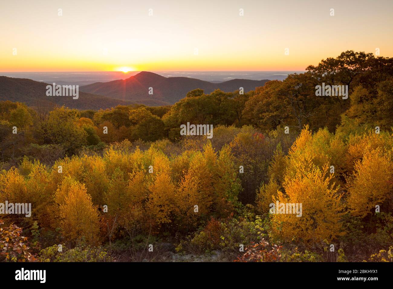 USA, Virginia, Parco Nazionale di Shenandoah in autunno Foto Stock