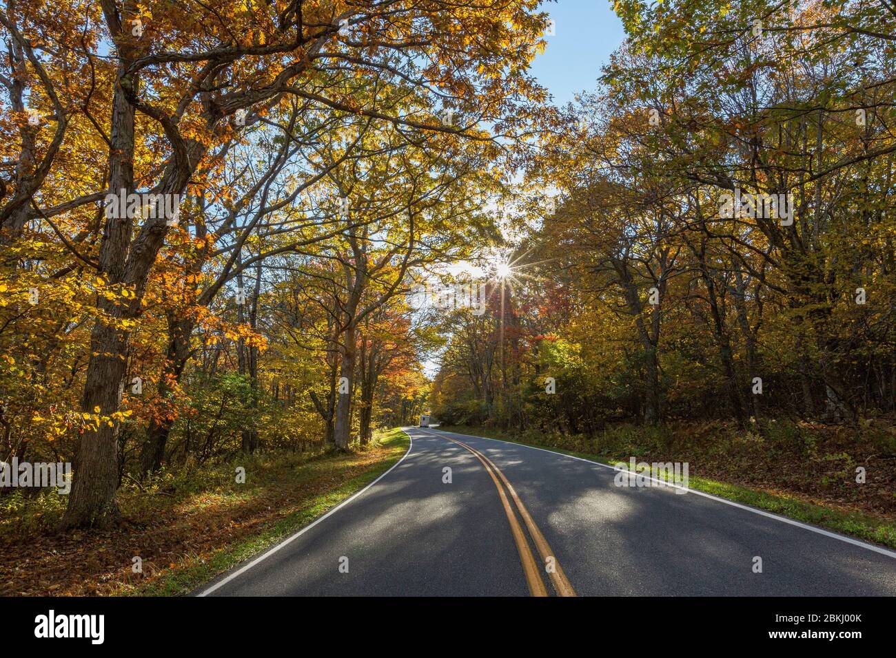 USA, Virginia, Parco Nazionale di Shenandoah in autunno, skyline Drive Foto Stock