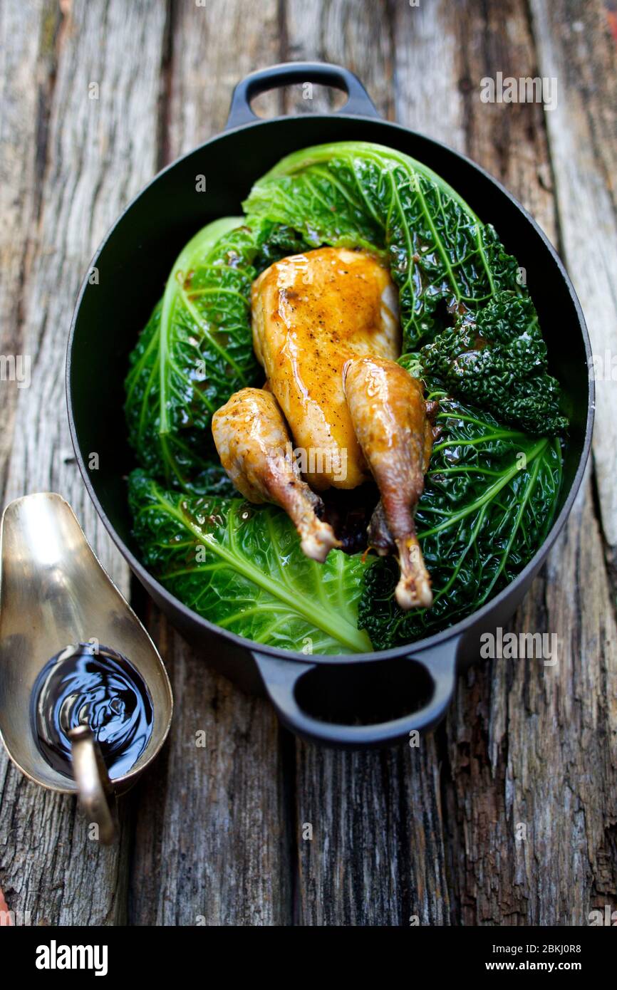 Fagiano o partridge con cavolo e succo Foto Stock
