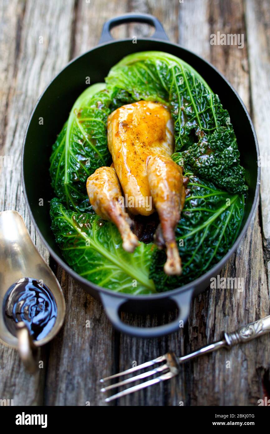 Fagiano o partridge con cavolo e succo Foto Stock