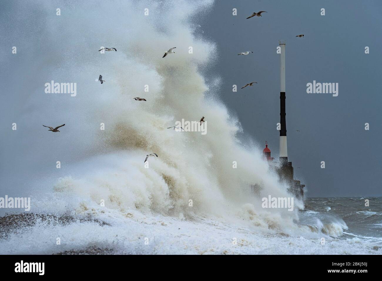 Francia, Senna Marittima, le Havre, la diga nord durante la tempesta Ciara Foto Stock