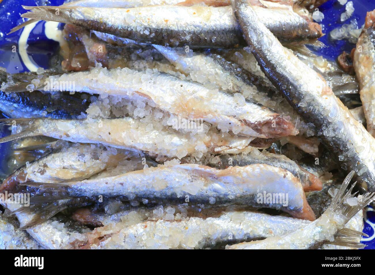 Spagna, Catalogna, Alt Empordà, Costa Brava, Cadaqués, preparazione della salatura delle acciughe Foto Stock