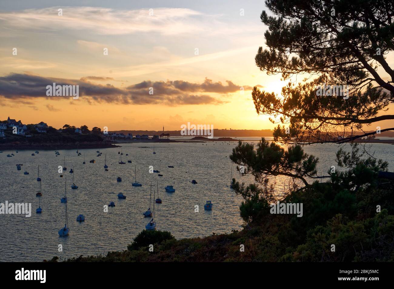Francia, Finisterre, Morlaix bay, Carantec Foto Stock