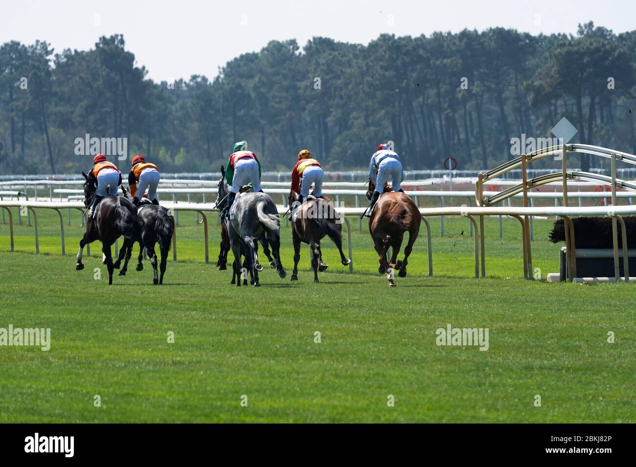 Francia, Gironde, Bassin d'Arcachon, la teste-de-Buch, ippodromo teste-de-Buch, corsa di cavalli Foto Stock