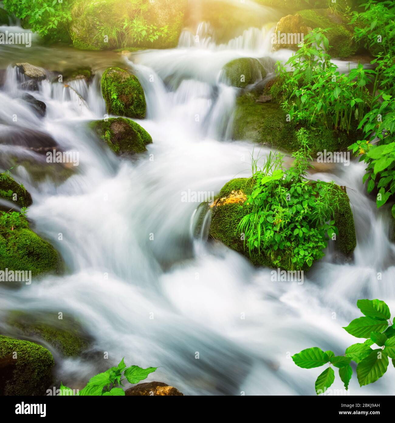 Ruscelli d'acqua splendidamente cascata lungo un piccolo fiume selvaggio attraverso una foresta di montagna, formato quadrato e lunga esposizione per flusso astratto Foto Stock