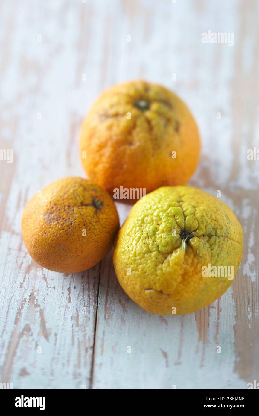 Vignetta di marmellata d'arancia biologica Foto Stock