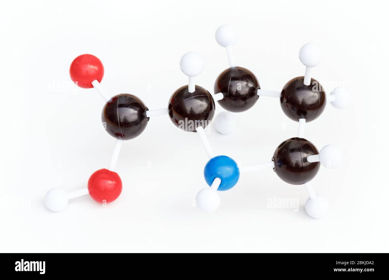 Modello in plastica a sfera o a bastoncino di una molecola Proline o L-Proline (Pro) su sfondo bianco. Prolina è uno degli amminoacidi proteinogenici. Foto Stock